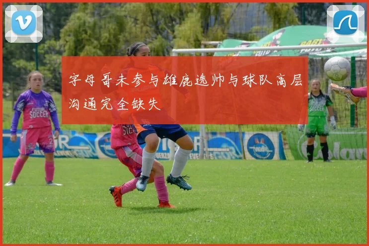 字母哥未参与雄鹿选帅与球队高层沟通完全缺失